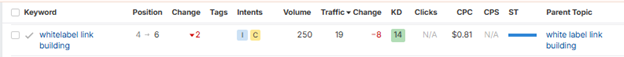 Monitor Your SEO Performance
