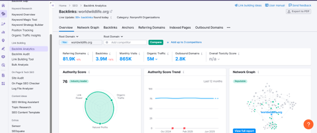Backlink Profile Analysis