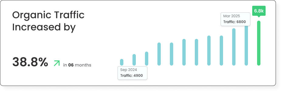 Organic traffic growth chart
